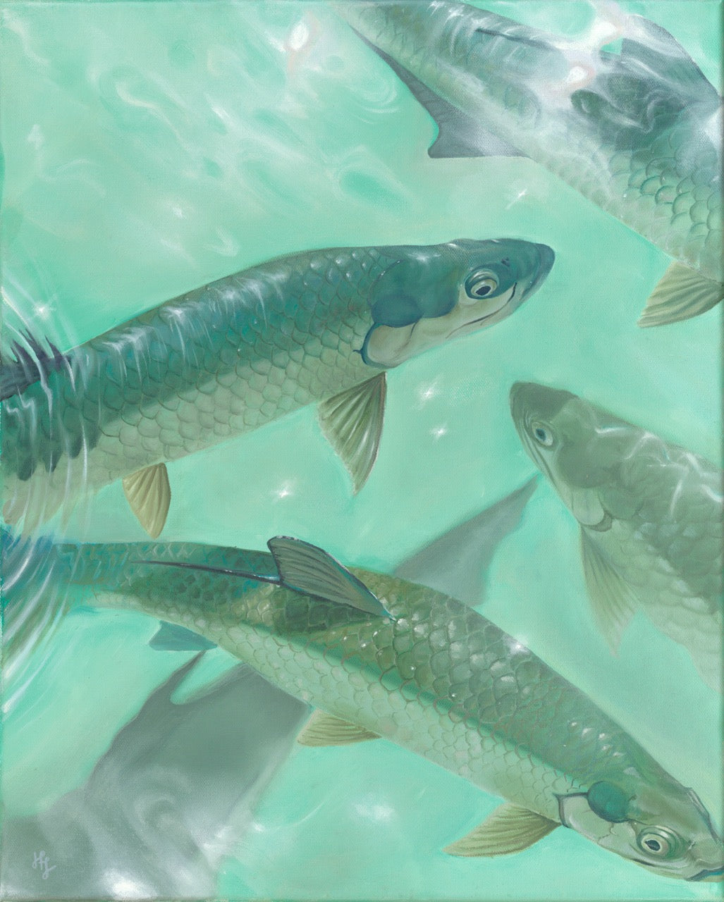 "The Locals" Tarpon Print