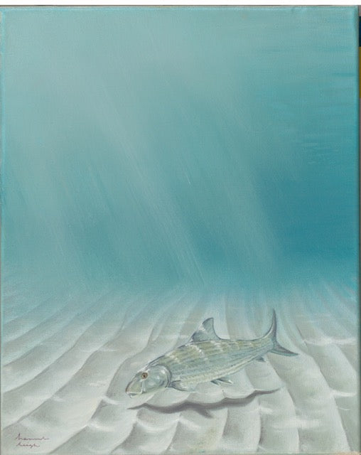 "Gray Ghost" Bonefish Print
