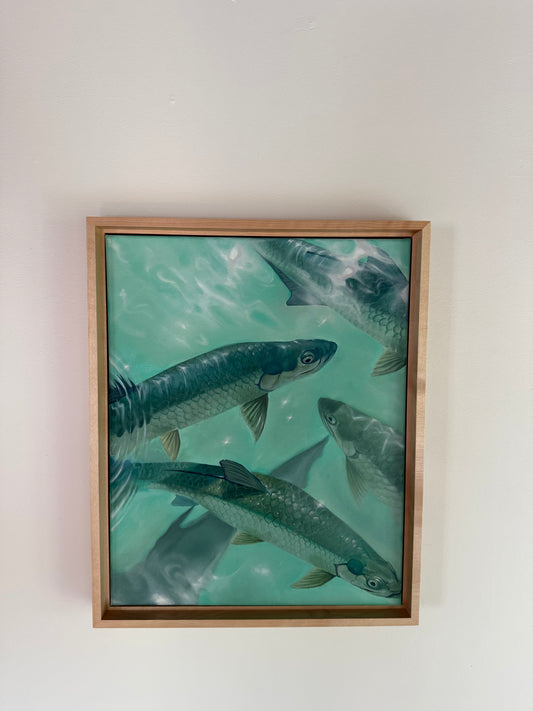 "The Locals" Original